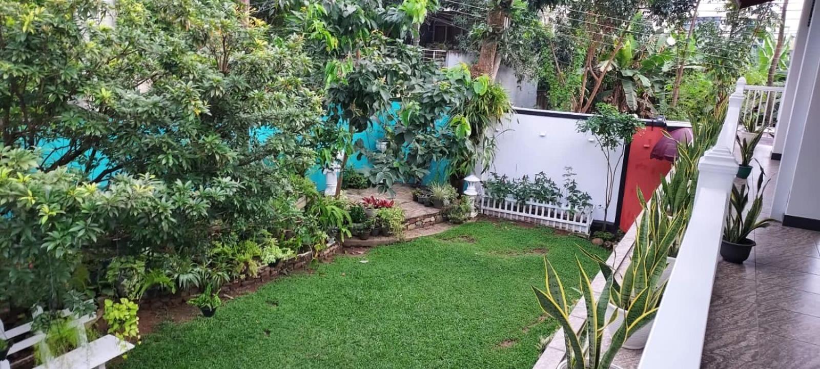 Duvi'S Shelter Bungalow Colombo Esterno foto